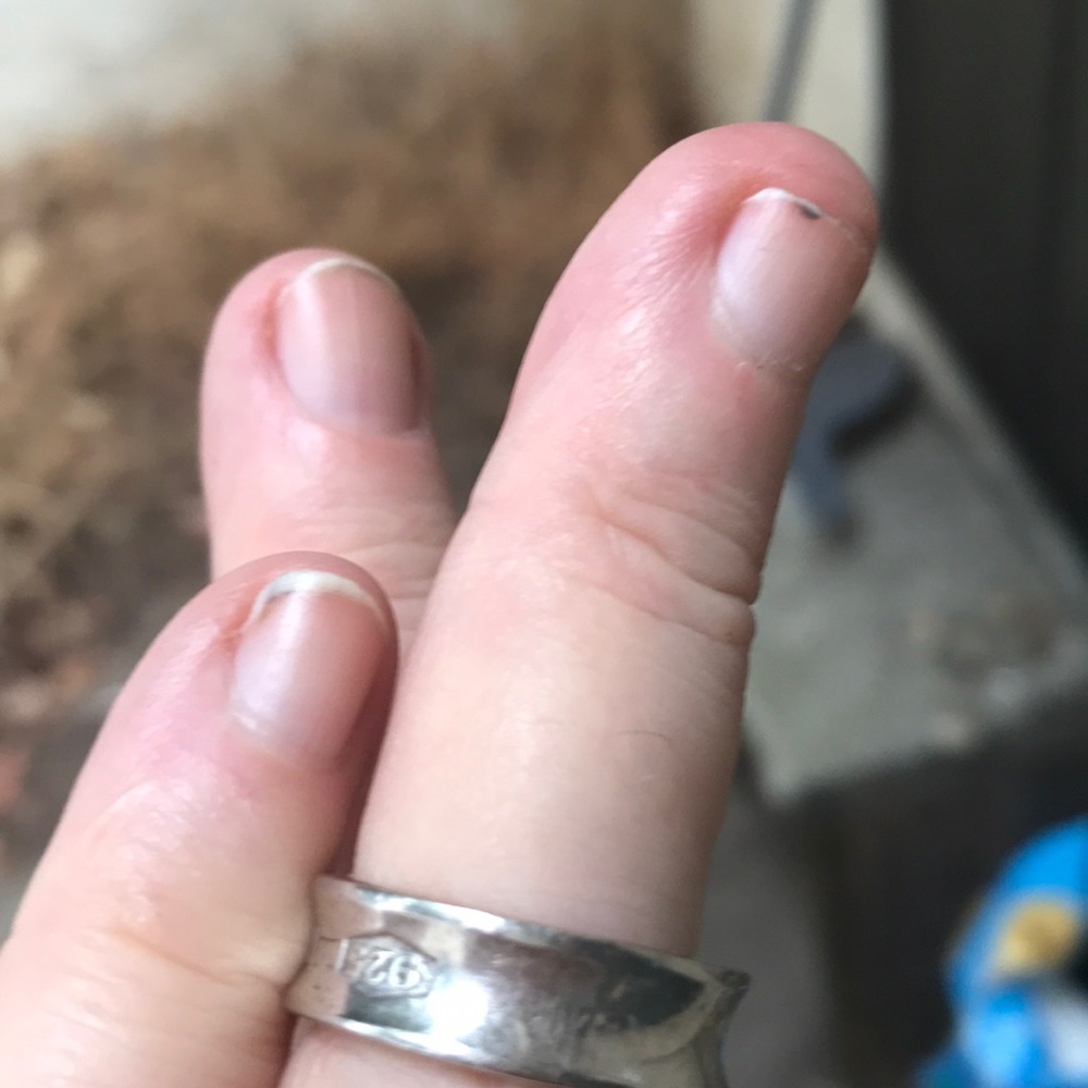 Tiffany ring